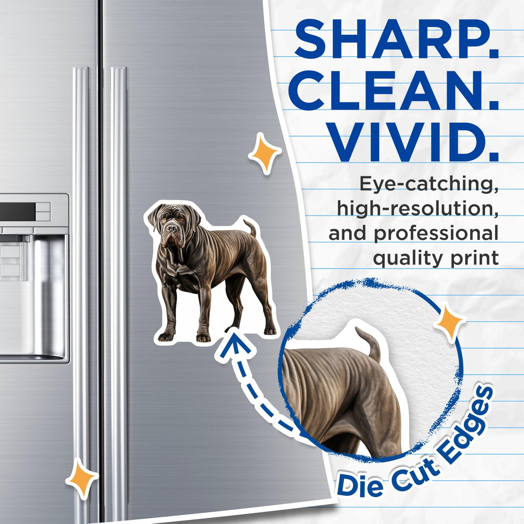 (2 Pack) Neapolitan Mastiff Magnets - Powerful Mastiff Art - Dog Breed Fan Items - 5 Inches On Longest Side - Thick Durable Magnet - Made in USA - MAG29527