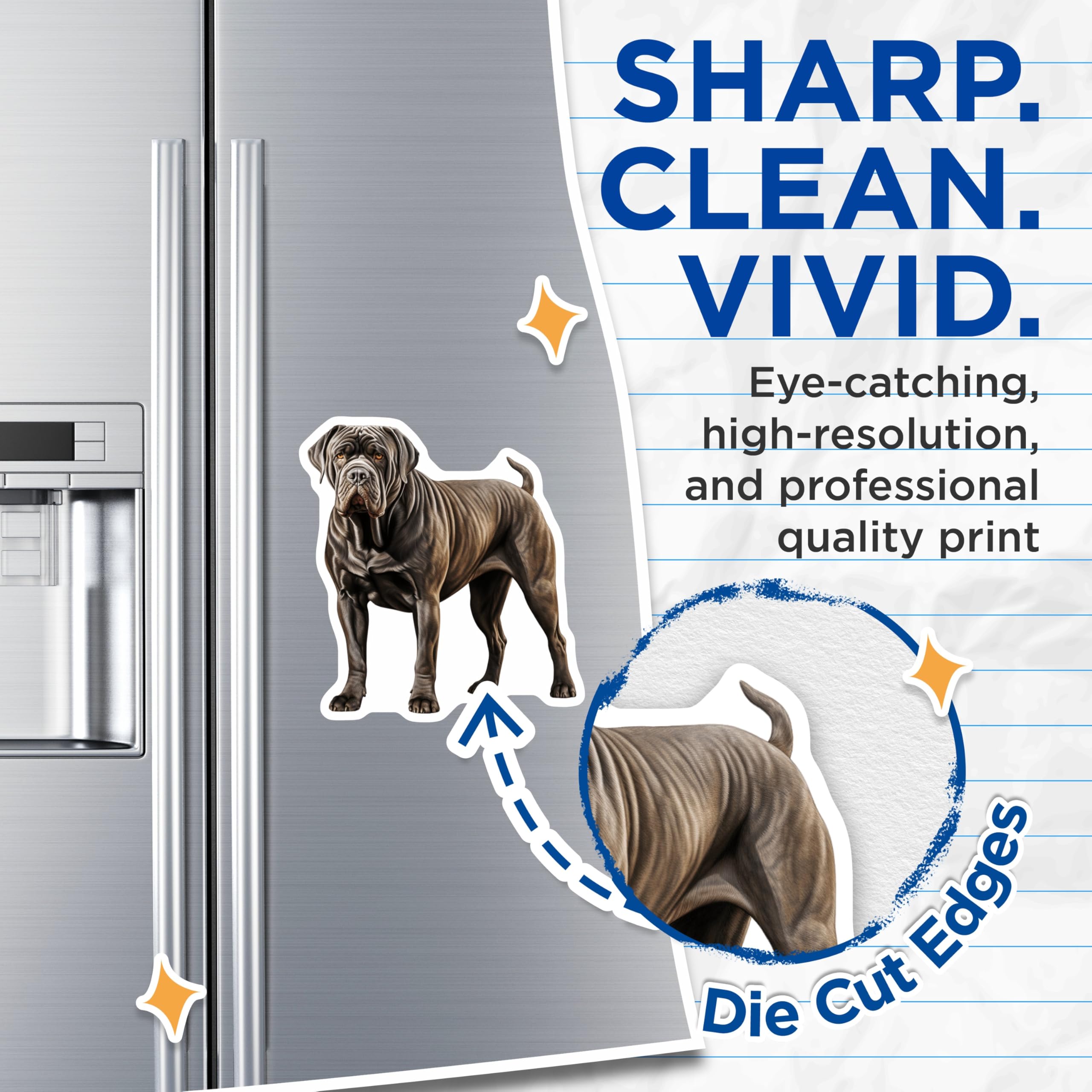(2 Pack) Neapolitan Mastiff Magnets - Powerful Mastiff Art - Dog Breed Fan Items - 5 Inches On Longest Side - Thick Durable Magnet - Made in USA - MAG29527