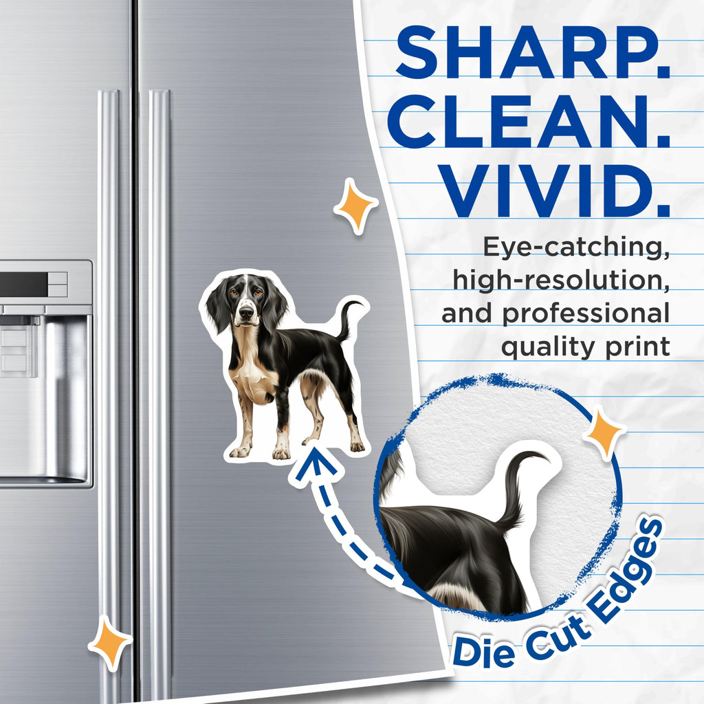 (2 Pack) Black White Spaniel Dog Magnets - Pet Portrait Refrigerator Decor - Dog Lover Home Accent - 5 Inches On Longest Side - Thick Durable Magnet - Made in USA - MAG27679