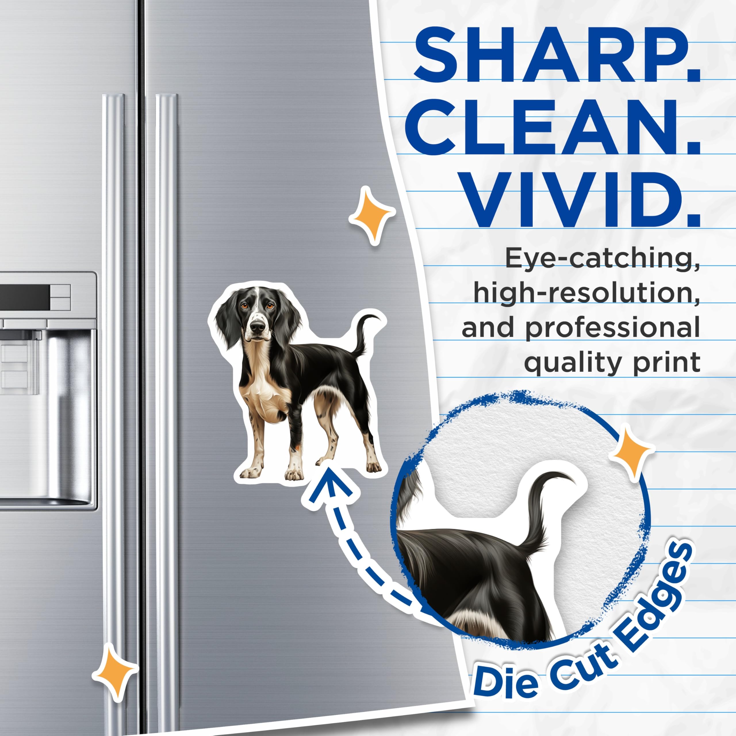 (2 Pack) Black White Spaniel Dog Magnets - Pet Portrait Refrigerator Decor - Dog Lover Home Accent - 5 Inches On Longest Side - Thick Durable Magnet - Made in USA - MAG27679