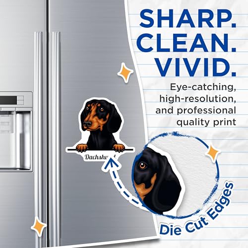 (2 Pack) Dachshund Dog Magnets - Cute Dog Art - Refrigerator Magnets - Pet Lover - Animal Magnets - Kitchen - 5" On Longest Side - for Cars, Fridges, Toolboxes - Made in USA - MAG4227