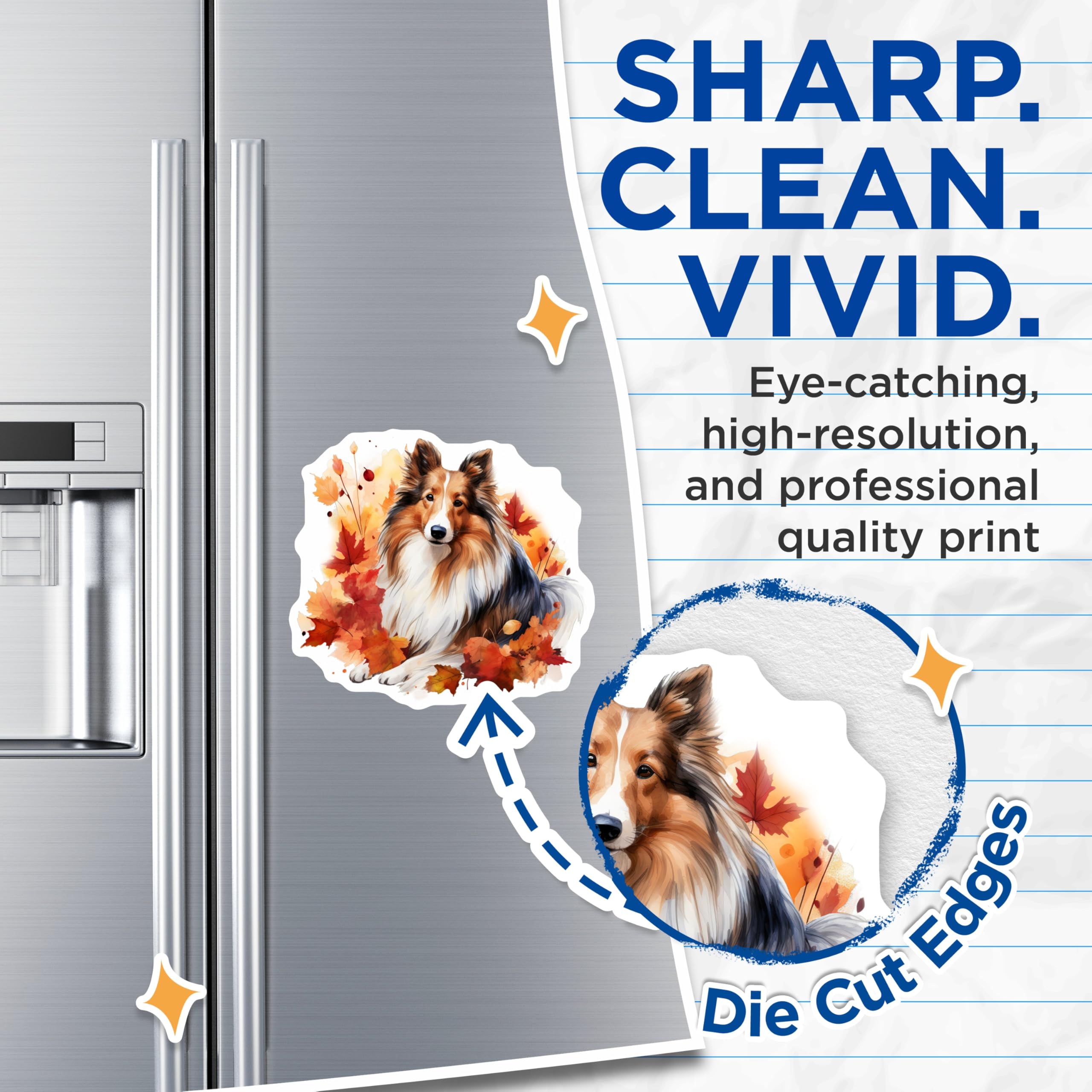 (2 Pack) Sheltie Magnets - Autumn Dog Decor - Watercolor Fall Pet Lover Art - 5 Inches On Longest Side - Thick Durable Magnet - Made in USA - MAG23471