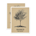 (2 Pack) Redbud Tree Magnets - Oklahoma State Tree - Botanical Art Decor - 5" On Longest Side - Premium Magnet - for Cars, Refrigerators, Toolboxes, Lockers - Made in USA - MAG18894