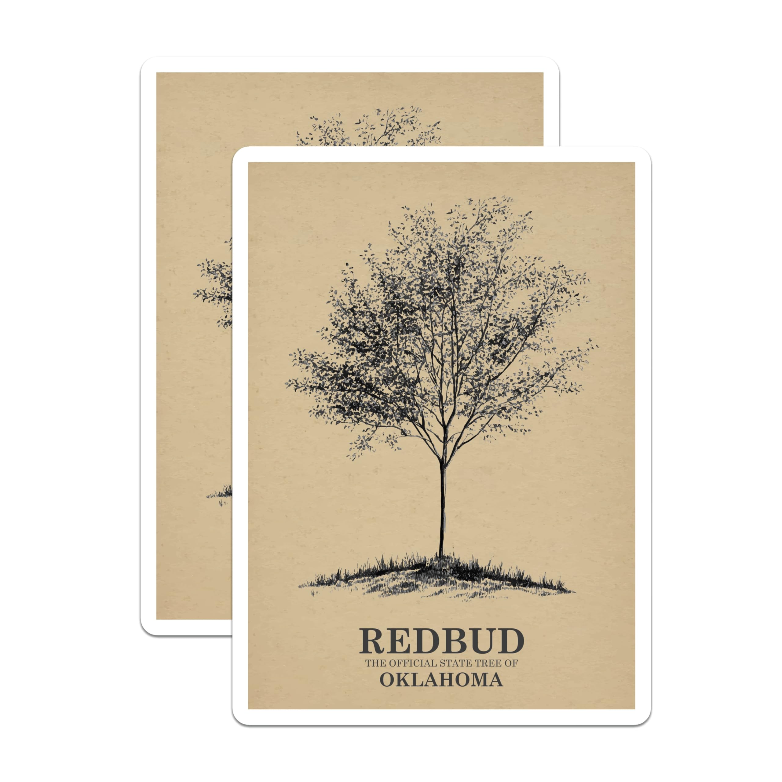 (2 Pack) Redbud Tree Magnets - Oklahoma State Tree - Botanical Art Decor - 5" On Longest Side - Premium Magnet - for Cars, Refrigerators, Toolboxes, Lockers - Made in USA - MAG18894