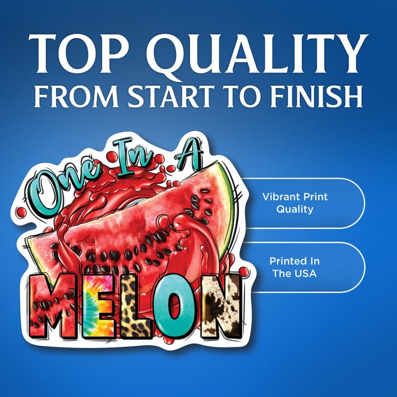 (2 Pack) One in A Melon - Funny Punny Watermelon One in A Million Stickers - 5" On Longest Side - for Car, Truck, SUV - Easy Peel and Stick Vinyl Decals - Made in USA - BMCS0118
