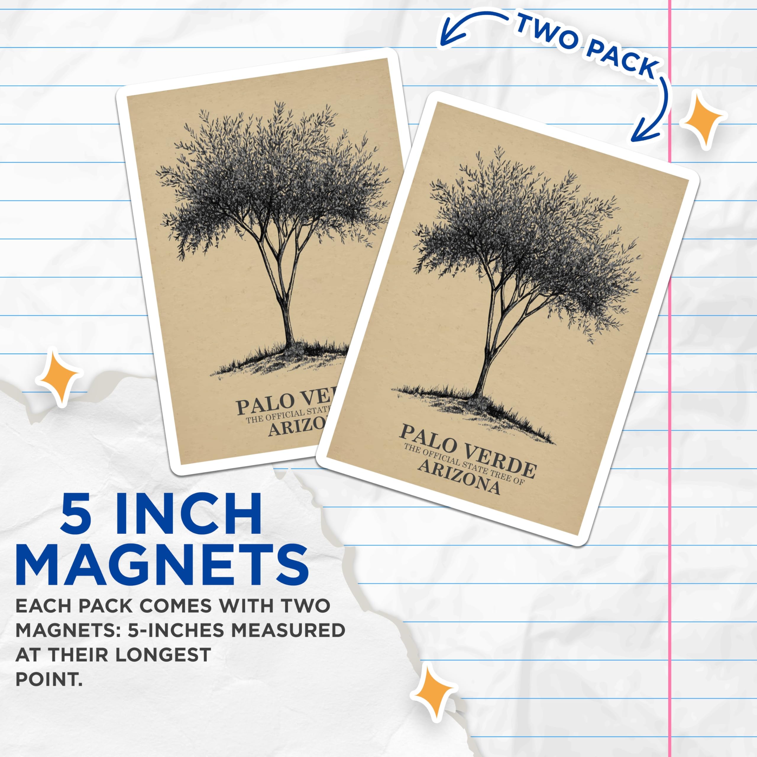 (2 Pack) Palo Verde Magnets - Arizona State Tree Magnets - Desert Tree Decor - 5" On Longest Side - Premium Magnet - for Cars, Refrigerators, Toolboxes, Lockers - Made in USA - MAG18506