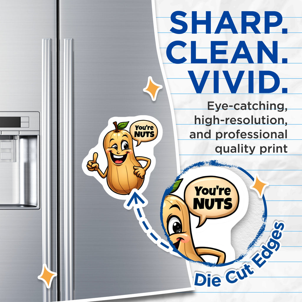 (2 Pack) Funny Butternut Squash Magnets - You're Nuts Humor - Cute Food Cartoon Fridge Decor - 5 Inches On Longest Side - Thick Durable Magnet - Made in USA - MAG37006