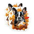 (2 Pack) Boston Terrier Magnets - Fall Leaves Dog Decor - Autumn Pet Lover Present for Dog Owners - 5 Inches On Longest Side - Thick Durable Magnet - Made in USA - MAG27561