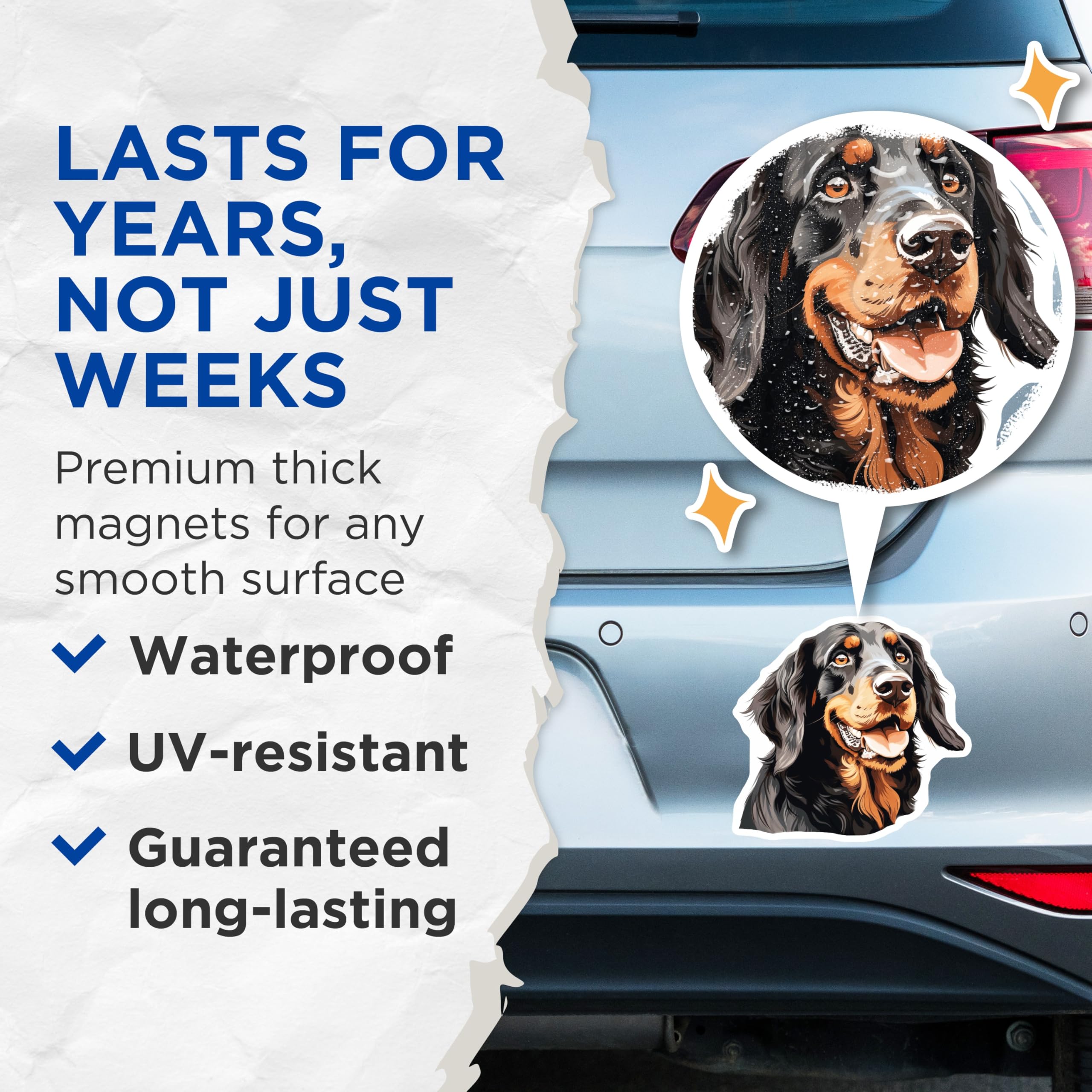 (2 Pack) Gordon Setter Dog Magnets - Black Tan Canine Art - Pet Lover Refrigerator Decor for Dog Owners - 5 Inches On Longest Side - Thick Durable Magnet - Made in USA - MAG24397