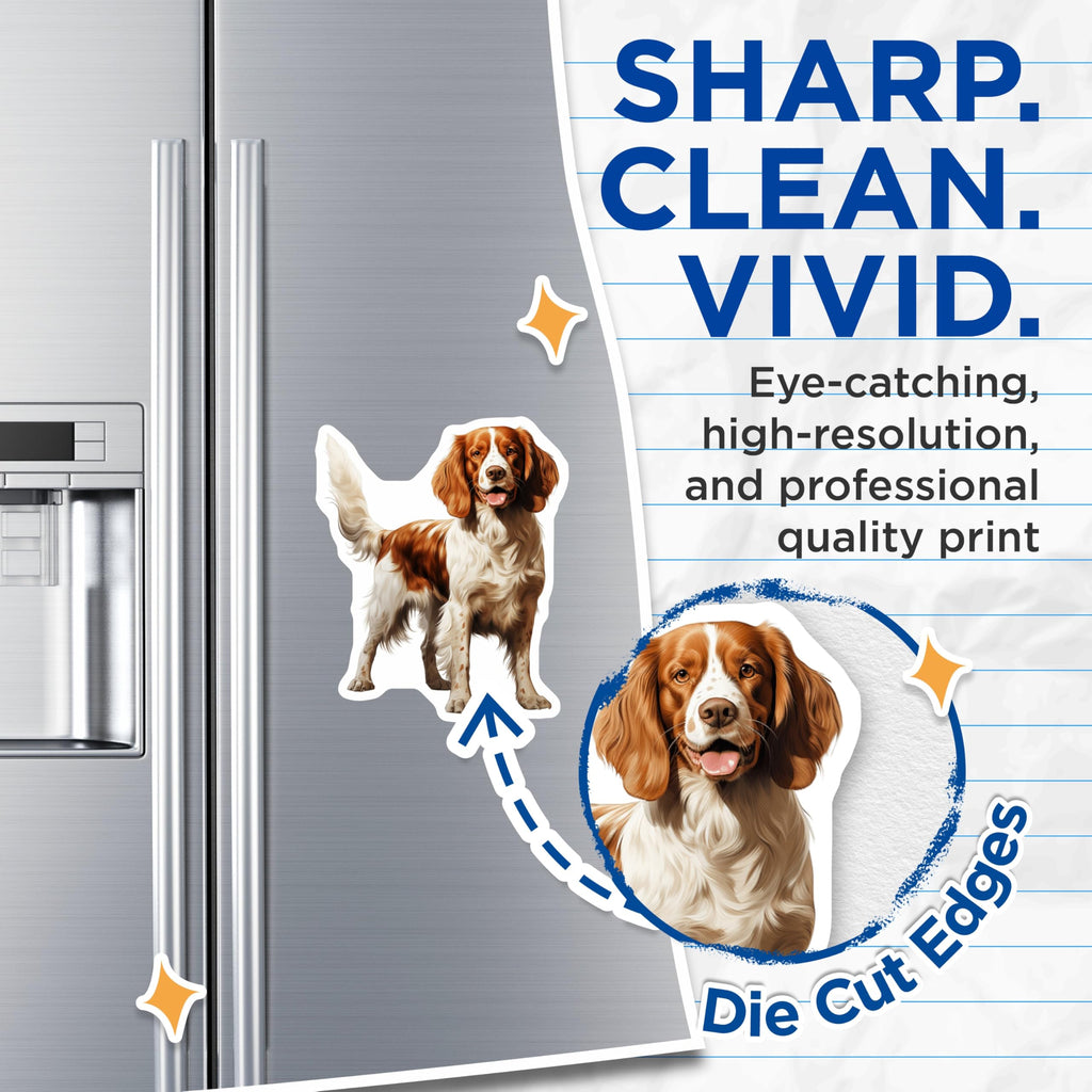 (2 Pack) Springer Spaniel Magnets - Brown White Dog Decor - Pet Owner Fridge Accessory - 5 Inches On Longest Side - Thick Durable Magnet - Made in USA - MAG30907