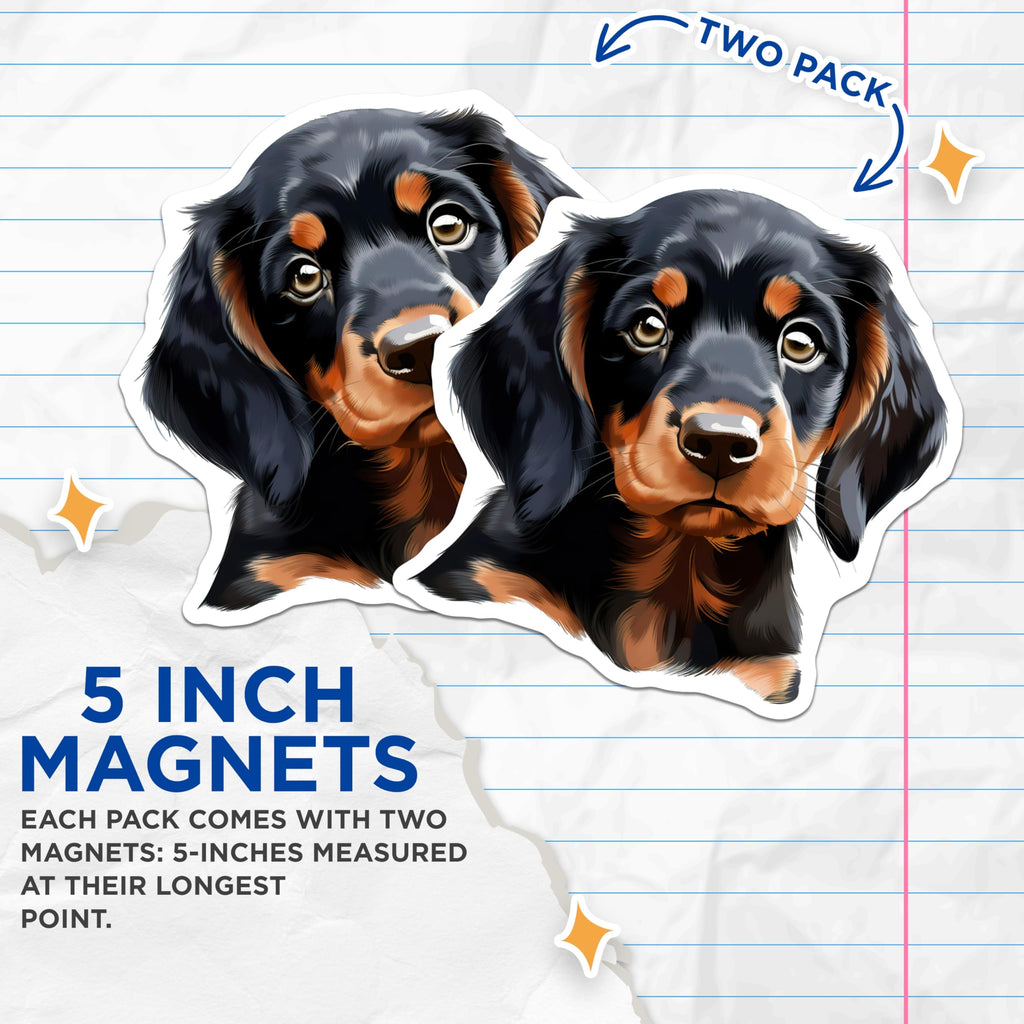 (2 Pack) Cute Dachshund Puppy Magnets - Black Tan Dog Art - Pet Lover Fridge Decor - Animal Lover Accessory - 5 Inches On Longest Side - Thick Durable Magnet - Made in USA - MAG30874
