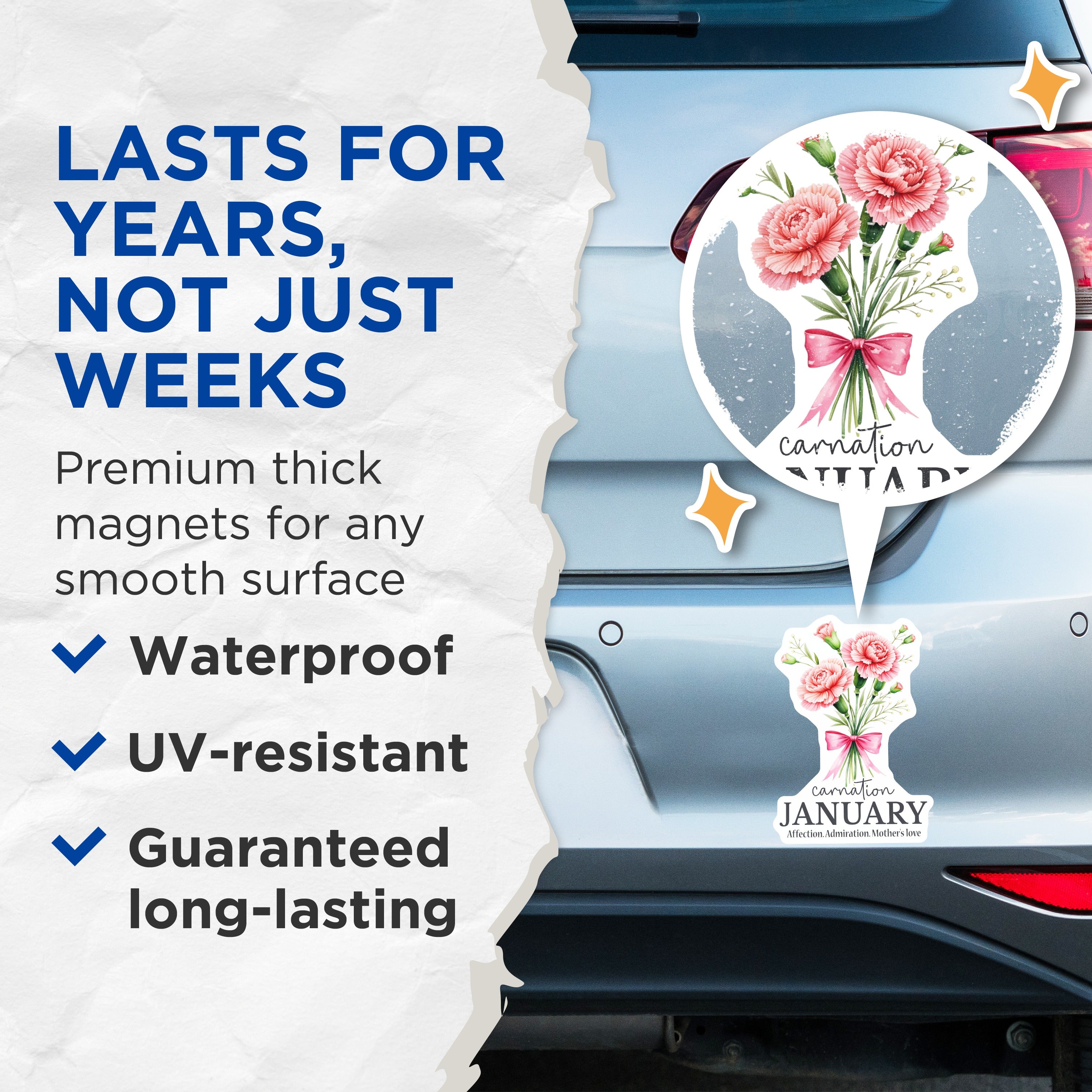 (2 Pack) January Carnation Magnets - Birth Month Flower Decor - Mother's Love Sentiment - 5 Inches On Longest Side - Thick Durable Magnet - Made in USA - MAG38270