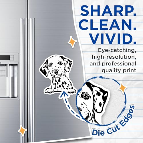 (2 Pack) Dalmatian Dog Magnets - Cute Animal Magnets - Dog Lovers Essentials for Home - 5" On Longest Side - for Cars, Fridges, Toolboxes - Made in USA - MAG4031