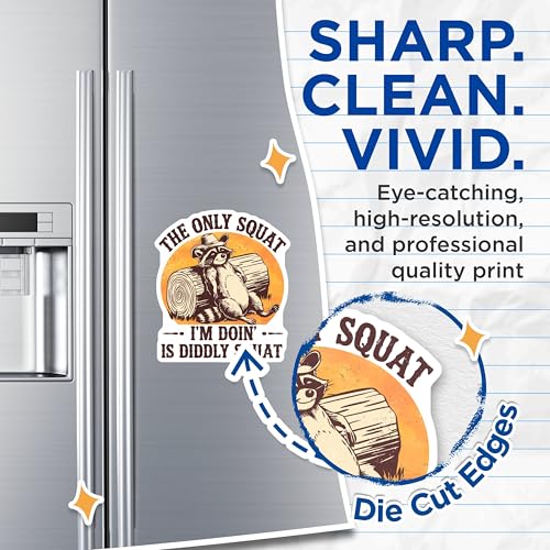 (2 Pack) Funny Lazy Raccoon Magnets - Animal Humor Magnet Decal - Office Decor Flexible Magnets - 5" On Longest Side - for Cars, Refrigerators, Toolboxes, Lockers - Made in USA BMCS3425