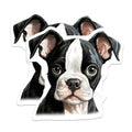 (2 Pack) Boston Terrier Magnets - Cute Puppy Dog - Fridge Decor - 5 Inches On Longest Side - Thick Durable Magnet - Made in USA - MAG30593