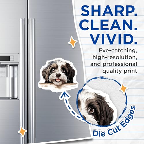(2 Pack) Puppy Dog Fridge Decor Magnet - 5" On Longest Side - Sticks to Smooth Flat Surfaces - Made in USA - MAG10192
