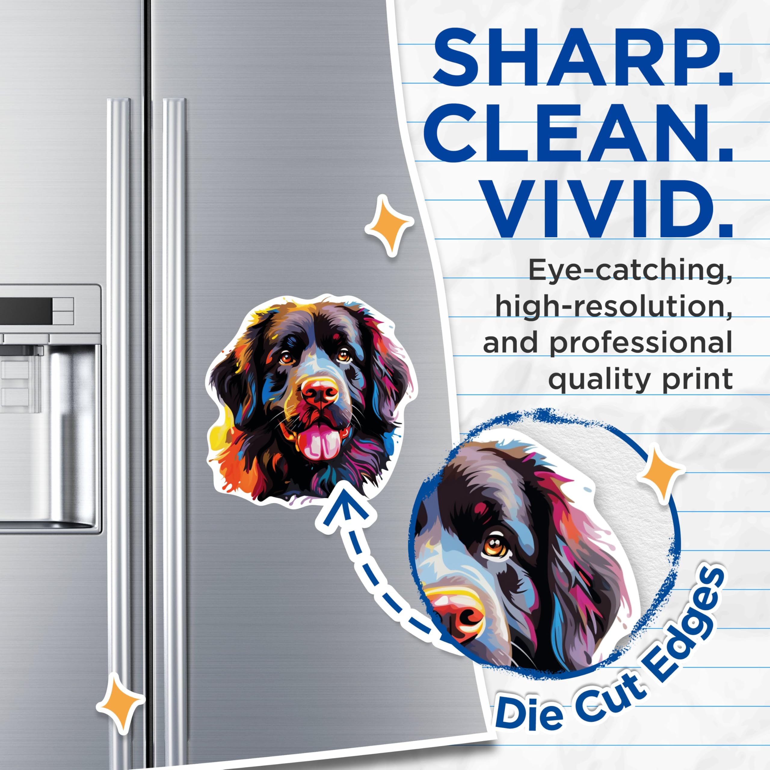 (2 Pack) Newfoundland Dog Breed Magnets - 5 Inches On Longest Side - Choose from Over 100 Dog Breeds - for Cars, Refrigerators, Toolboxes - Made in USA - MAG1906