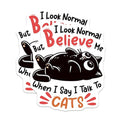 (2 Pack) Cats Believe Me Stickers - Funny Cat Meme - 5" On Longest Side - Sticks to Smooth Flat Surfaces - Made in USA - BMCS7374