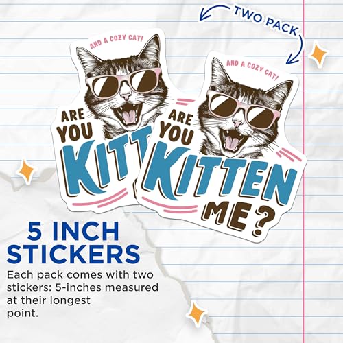 (2 Pack) are You Kitten Me Stickers - Funny Cat Stickers - Cute Cat Meme Stickers - 5" On Longest Side - Sticks to Smooth Flat Surfaces - Made in USA - BMCS5936