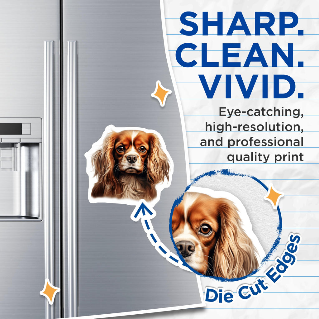 (2 Pack) Cavalier King Charles Spaniel Dog Magnets - Breed Specific - Pet Parent Fridge Decor - 5 Inches On Longest Side - Thick Durable Magnet - Made in USA - MAG29573