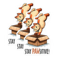 (3 Pack) Cat in Box Decals - Stay Pawsitive - Funny Animal Stickers - 3 Inches On Longest Side - Easy Peel & Apply - Made in USA - 3MCS1909