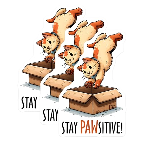 (3 Pack) Cat in Box Decals - Stay Pawsitive - Funny Animal Stickers - 3 Inches On Longest Side - Easy Peel & Apply - Made in USA - 3MCS1909