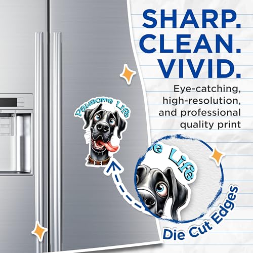(2 Packs) Pawsome Life Great Dane Magnets - Great Dane Dog Mom Dog Dad Magnets - 5 Inches On Longest Side - Premium Magnet - for Fridges, Toolboxes, Cars - Made in USA - MAG2397