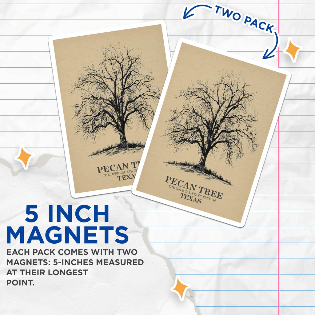 (2 Pack) Pecan Tree Magnets - Texas State Tree Decor - Nature Inspired Refrigerator Magnets - 5" On Longest Side - Premium Magnet - for Cars, Refrigerators, Toolboxes, Lockers - Made in USA - MAG17393