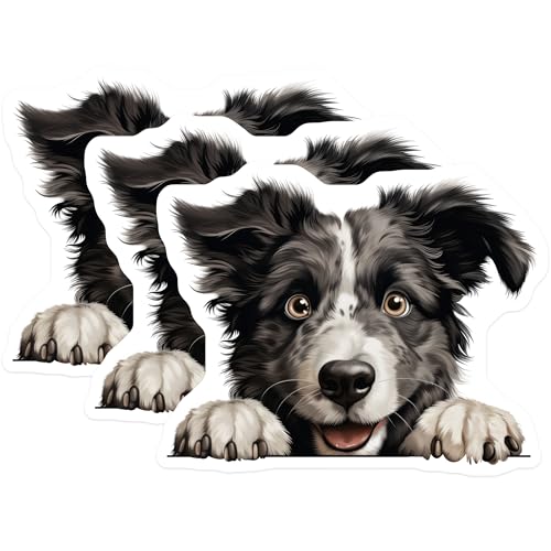 (3 Pack) Border Collie Decals - Dog Lover - Laptop Decals - 3 Inches On Longest Side - Easy Peel & Apply - Made in USA - 3MCS8708