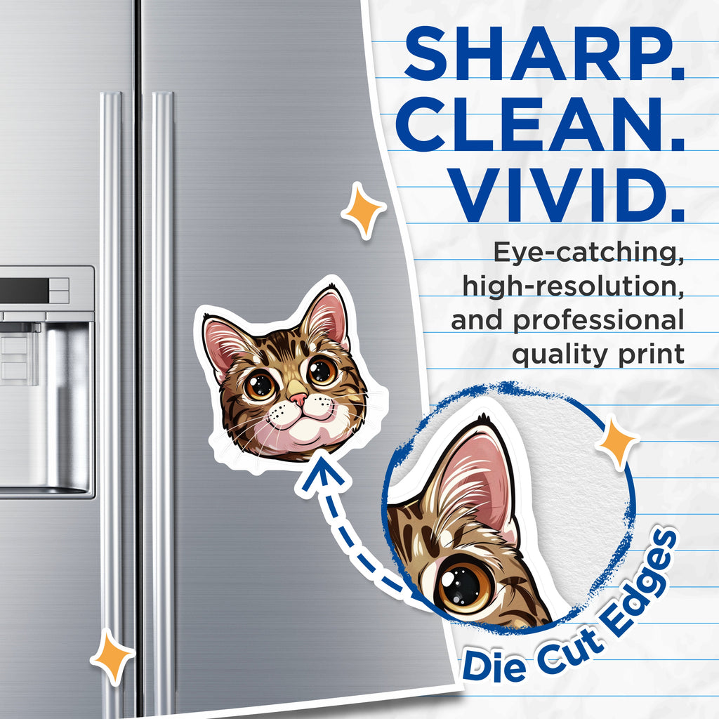 (2 Pack) Cute Cat Head Magnets - Kawaii Animal Lover Decor - Kitten Refrigerator Accent - 5 Inches On Longest Side - Thick Durable Magnet - Made in USA - MAG36066
