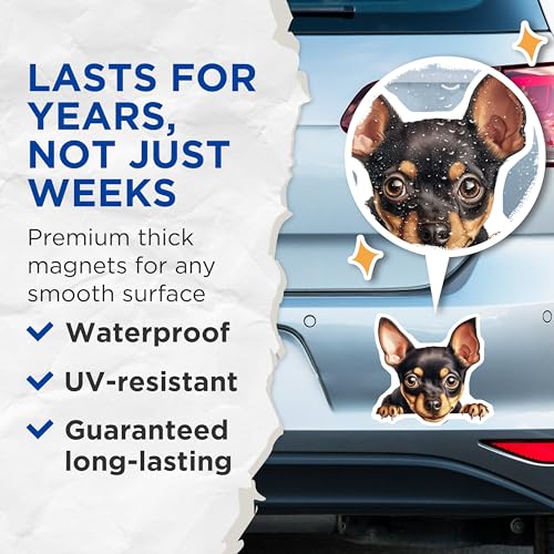 (2 Pack) Animal Lover Decor Magnet - Dog Lover Accessories - 5" On Longest Side - Sticks to Smooth Flat Surfaces - Made in USA - MAG10228