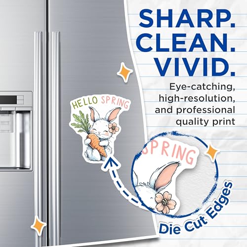 (2 Pack) Hello Spring Magnets - Springtime Kitchen Decor - Easter Decor - Animal Lovers Gift - 5" On Longest Side - for Cars, Fridges, Toolboxes - Made in US