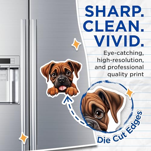 (2 Pack) Adorable Pet Decor Magnet - 5" On Longest Side - Sticks to Smooth Flat Surfaces - Made in USA - MAG9886