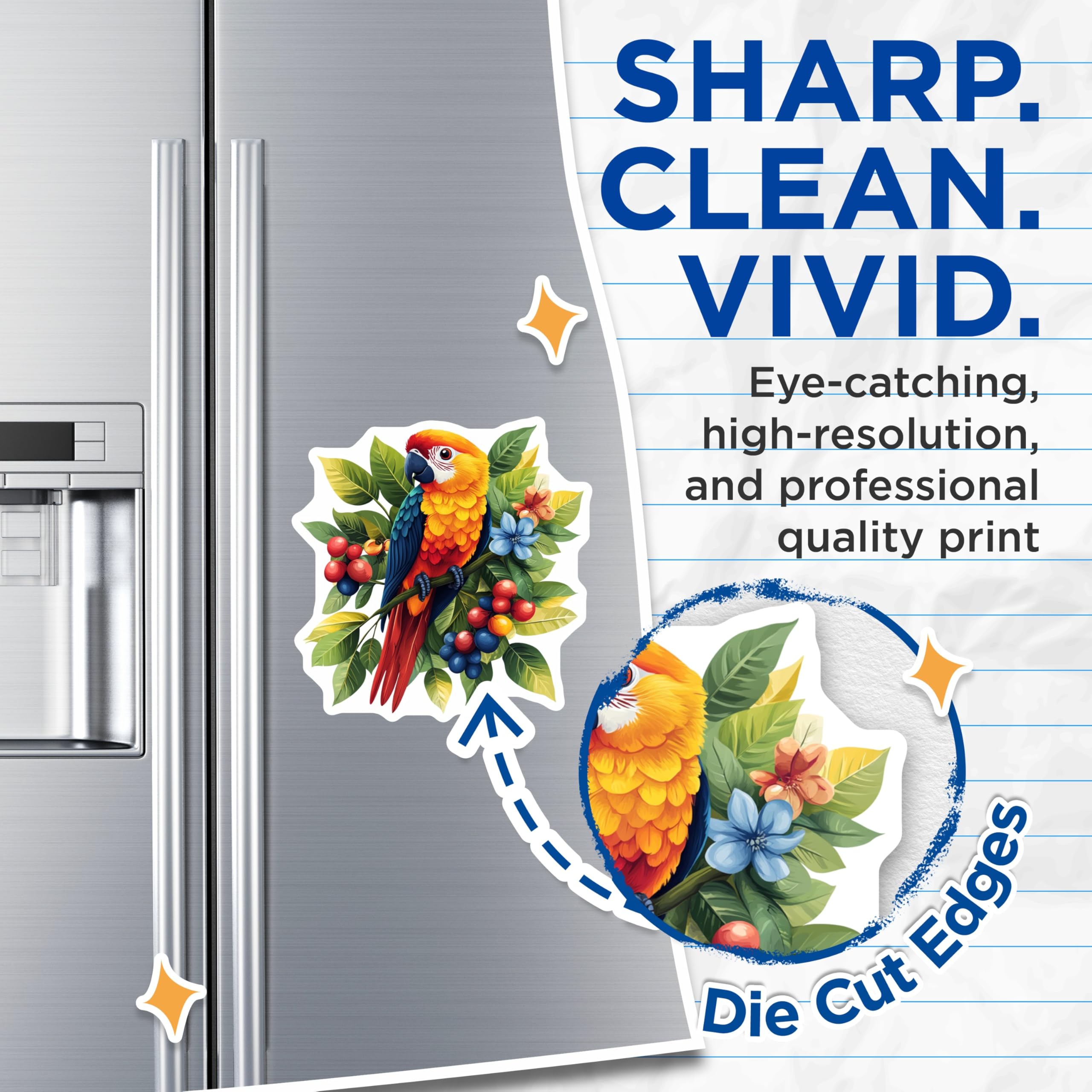 (2 Pack) Tropical Parrot Magnets - Exotic Bird Kitchen Decor - Vibrant Jungle Animal Fridge - 5 Inches On Longest Side - Thick Durable Magnet - Made in USA - MAG25232