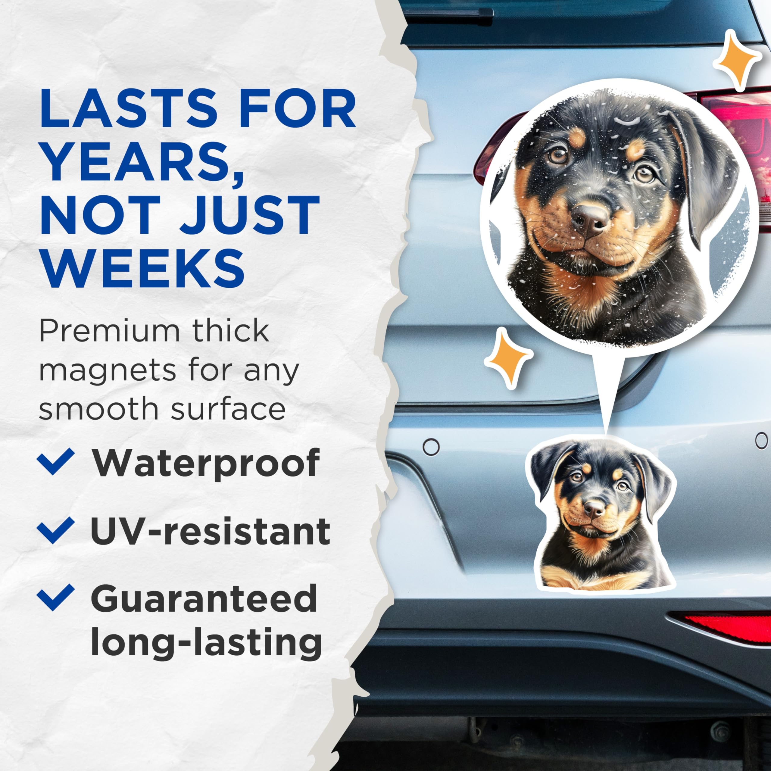 (2 Pack) Rottweiler Puppy Magnets - Cute Dog Art Refrigerator - Animal Lover Kitchen Accent - 5 Inches On Longest Side - Thick Durable Magnet - Made in USA - MAG29393