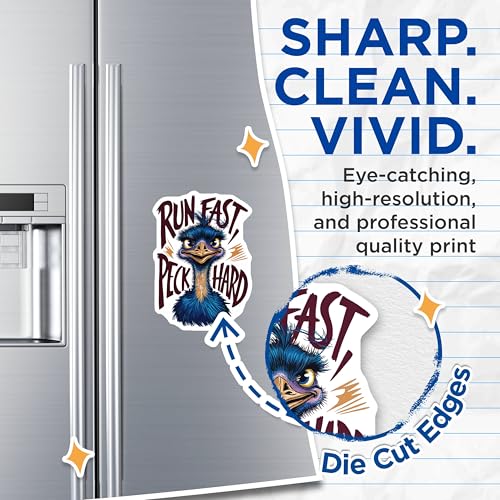 (2 Pack) Run Fast Peck Hard Magnets - Motivational Magnets - Inspirational Quote - Fun Fridge Magnets - 5" On Longest Side - for Cars, Fridges, Toolboxes - Made in USA - MAG3986