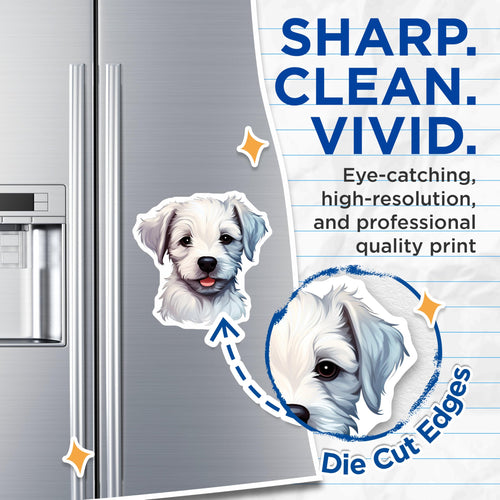(2 Pack) Adorable White Puppy Magnets - Fluffy Dog Lover Decal - Fridge Locker Decor - 5 Inches On Longest Side - Thick Durable Magnet - Made in USA - MAG27505