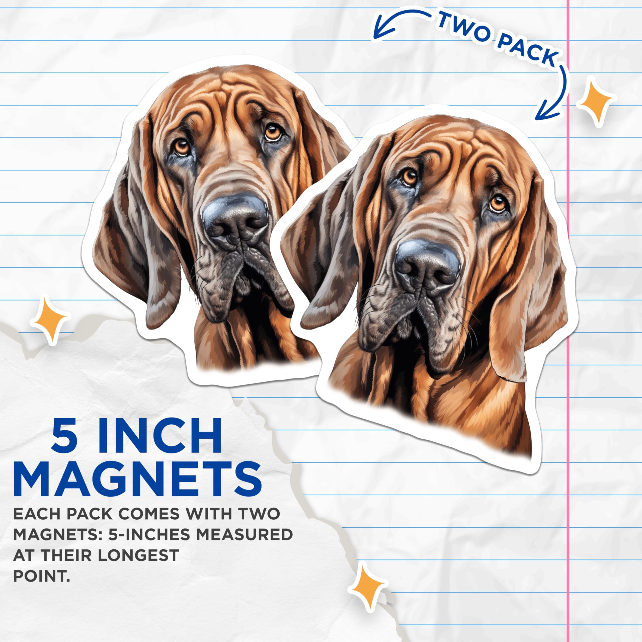 (2 Pack) Bloodhound Magnets - Scent Hound Dog Portrait - Dog Mom Dad Fridge Decor - 5 Inches On Longest Side - Thick Durable Magnet - Made in USA - MAG26977
