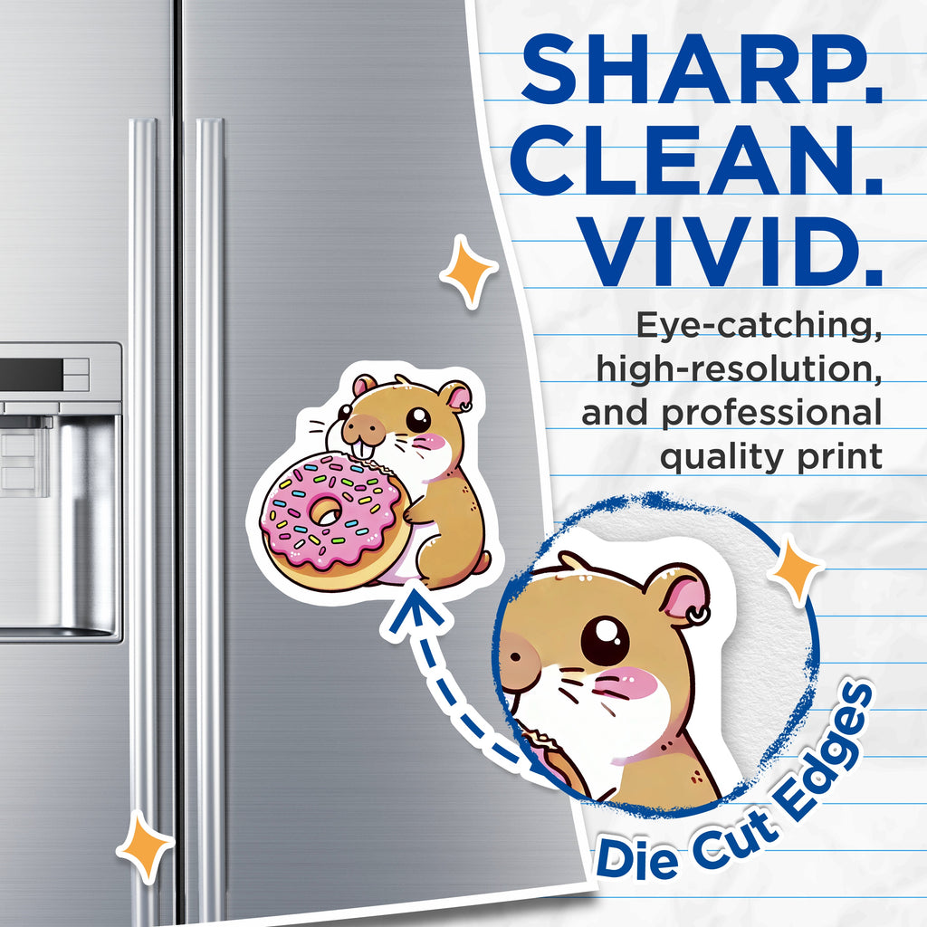 (2 Pack) Hamster Donut Magnets - Cute Kawaii Pet - Foodie Animal Lover Fridge Decor - 5 Inches On Longest Side - Thick Durable Magnet - Made in USA - MAG39189