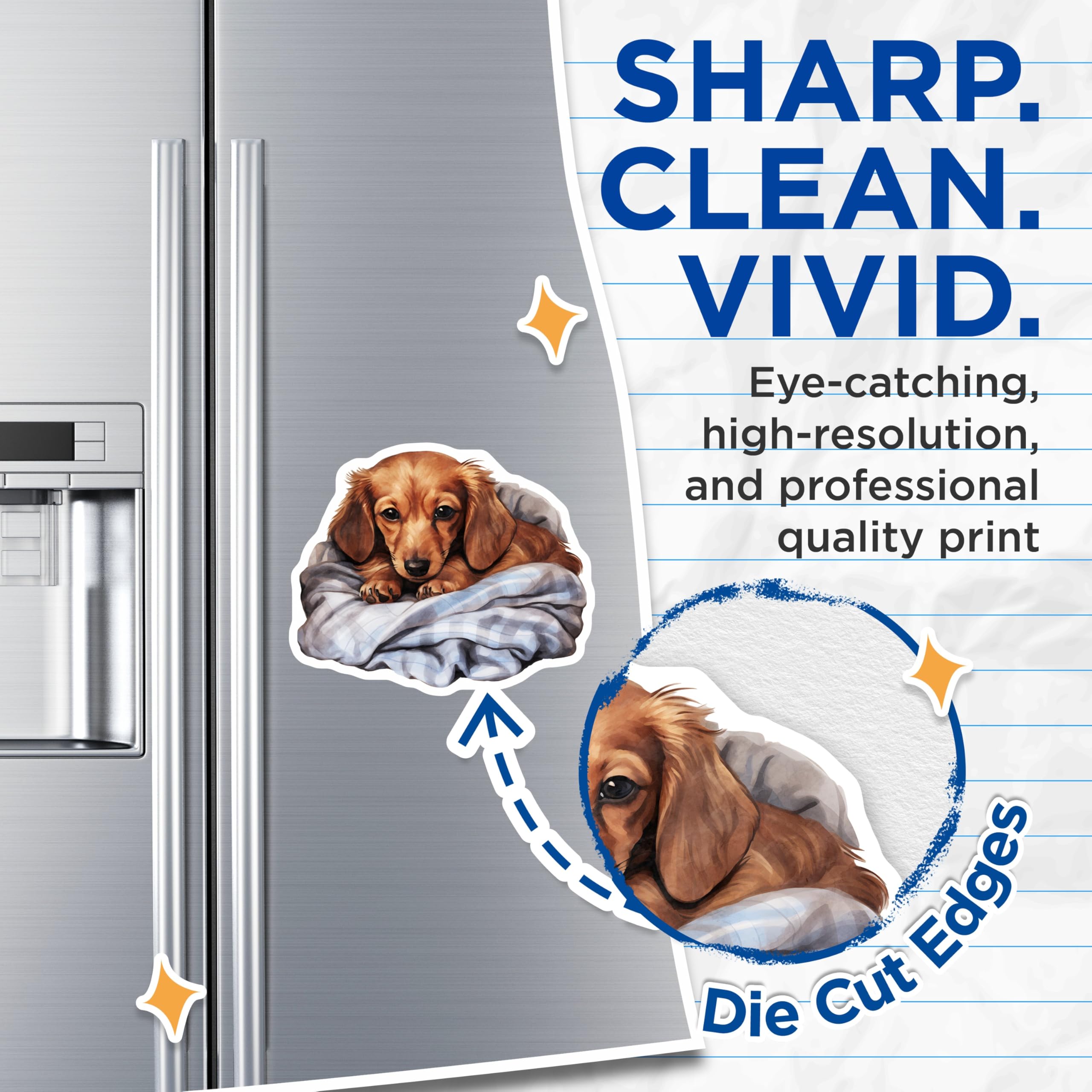 (2 Pack) Dachshund Magnets - Cute Puppy Decor - Pet Lover Fridge Accessories - 5" On Longest Side - Premium Magnet - for Cars, Refrigerators, Toolboxes, Lockers - Made in USA - MAG16488