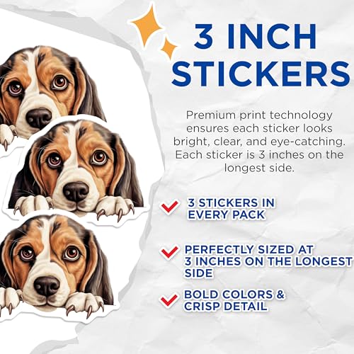(3 Pack) Beagle Decals - Cute Puppy Stickers - Dog Breed Art - 3 Inches On Longest Side - Easy Peel & Apply - Made in USA - 3MCS8618
