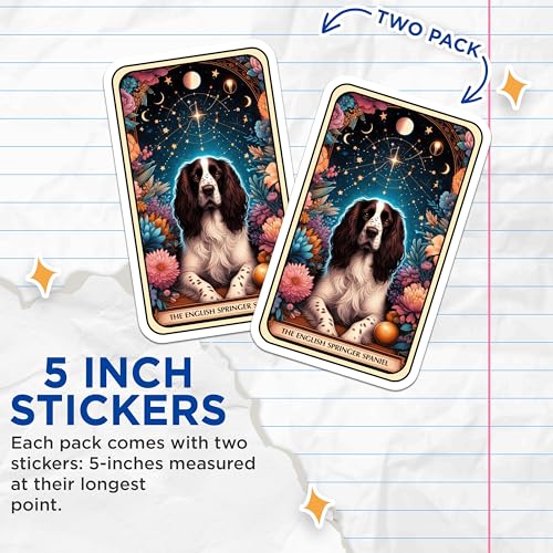 (2 Pack) English Springer Spaniel Stickers - Dog Art Stickers - Unique Illustration Stickers - 5" On Longest Side - Sticks to Smooth Flat Surfaces - Made in USA - BMCS4861