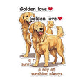 (2 Packs) Golden Love A Ray of Sunshine Always Stickers - Golden Retriever Decals - 5 Inches On Longest Side - Premium Vinyl Decal - Sticks to Any Smooth Flat Surface - Made in USA - BMCS2376