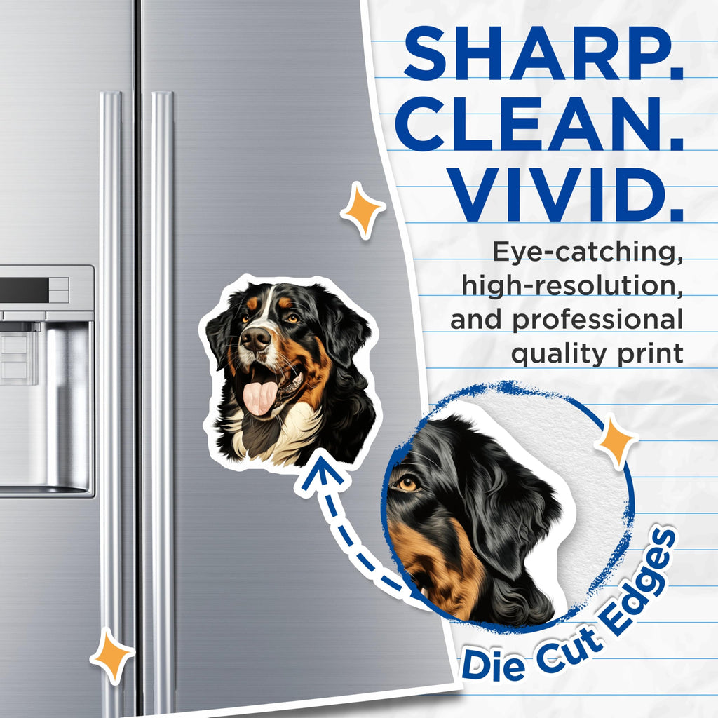 (2 Pack) Bernese Mountain Dog Magnets - Happy Berner Dog Portrait - Pet Owner Decor - Dog Lover Accents - 5 Inches On Longest Side - Thick Durable Magnet - Made in USA - MAG30222