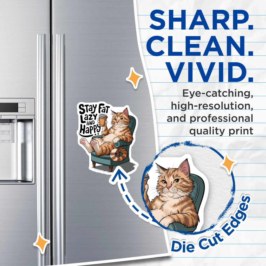(2 Pack) Lazy Cat Refrigerator Magnets - Funny Cat Magnets - Cute Kitten Magnets - 5" On Longest Side - Premium Magnet - for Cars, Refrigerators, Toolboxes, Lockers - Made in USA - MAG16448
