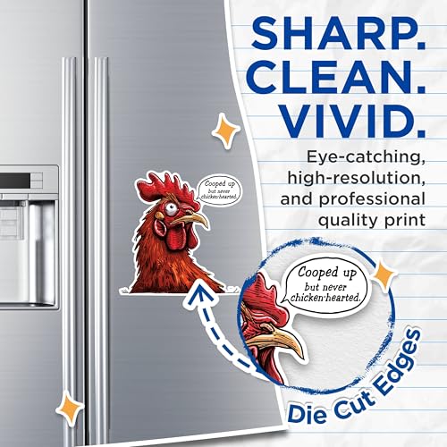 (2 Pack) Funny Chicken Magnets - Quirky Rooster Magnets - Chicken Decor Magnets for Kitchen- 5" On Longest Side - for Fridges, Toolboxes, Cars - Made in USA - MAG2606