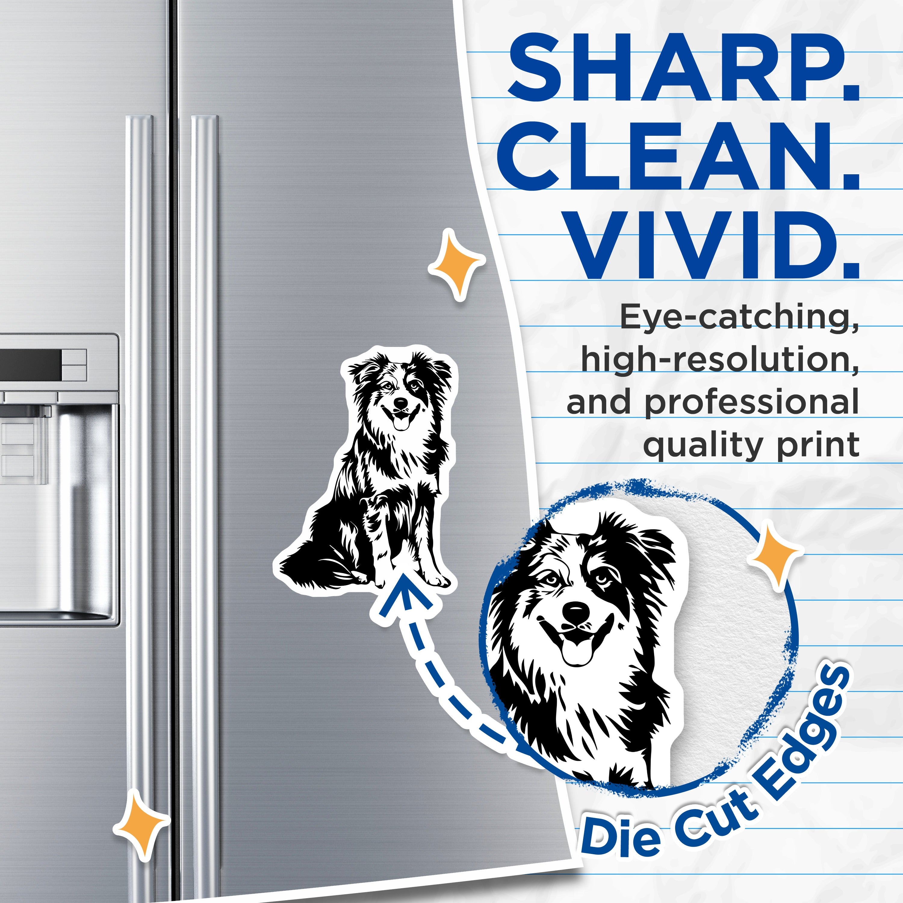 (2 Pack) Border Collie Dog Magnets - Pet Lover Decor - Animal Art - 5 Inches On Longest Side - Thick Durable Magnet - Made in USA - MAG36079