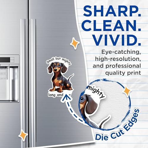 (2 Packs) Small But Mighty Long and Low Magnets - Dachshund Breed Magnets - 5 Inches On Longest Side - Premium Magnet - for Fridges, Toolboxes, Cars - Made in USA - MAG2338