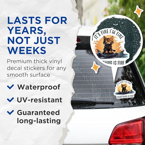 (2 Pack) Cat Stickers - Funny Quote - Everything is Fine - 5" On Longest Side - Sticks to Smooth Flat Surfaces - Made in USA - BMCS7834