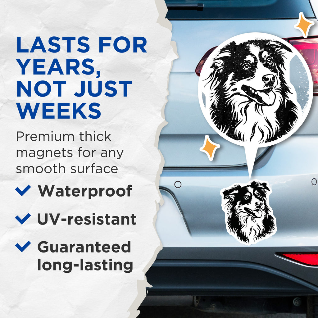 (2 Pack) Border Collie Magnets - Dog Lover Refrigerator Decor - Pet Owner Kennel Accessories for Fridge - 5 Inches On Longest Side - Thick Durable Magnet - Made in USA - MAG36382